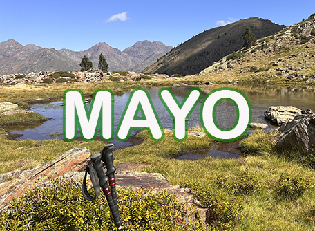 Mayo